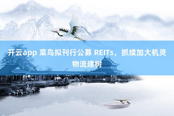 开云app 菜鸟拟刊行公募 REITs，抓续加大机灵物流建树