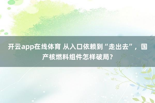 开云app在线体育 从入口依赖到“走出去”，国产核燃料组件怎样破局？