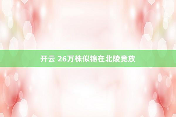 开云 26万株似锦在北陵竞放